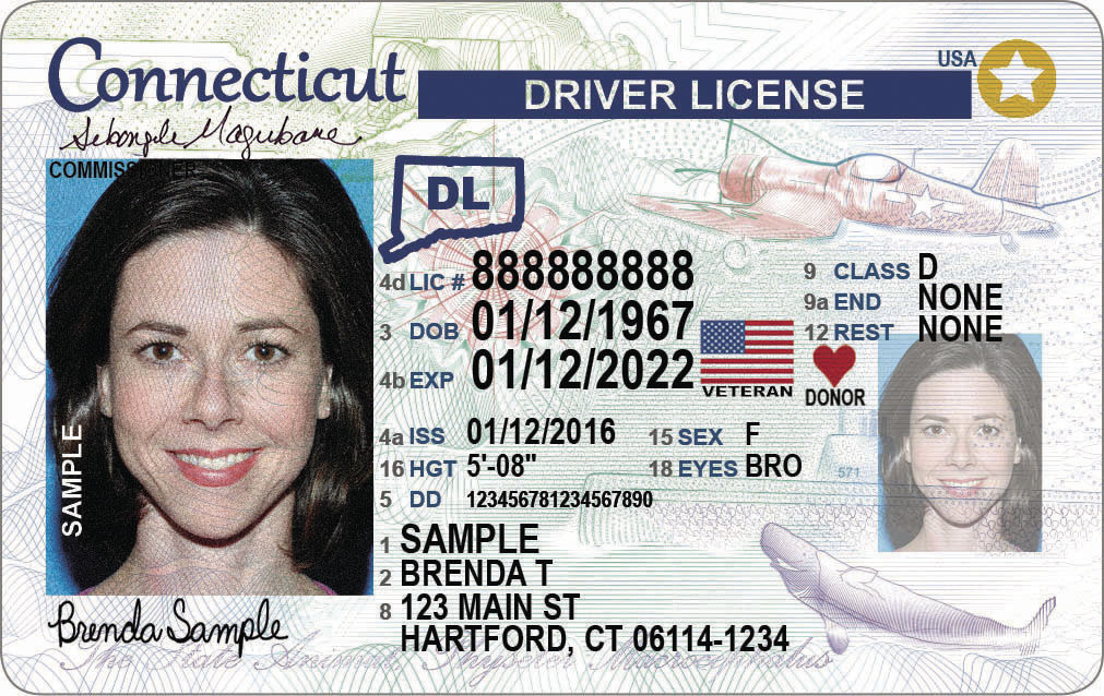 Connecticut Driver's License| Complete Guide to Get Driver's License