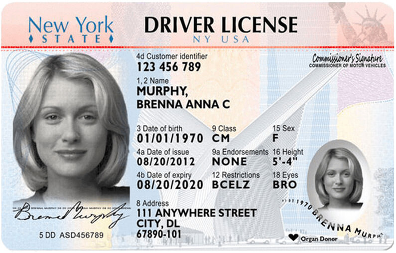 Driver's License in New York-A Complete Guide for Applying and Renewal